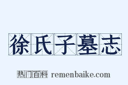 徐氏子墓志是什么意思的图片